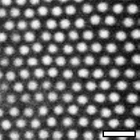 [colloidal crystal
picture]